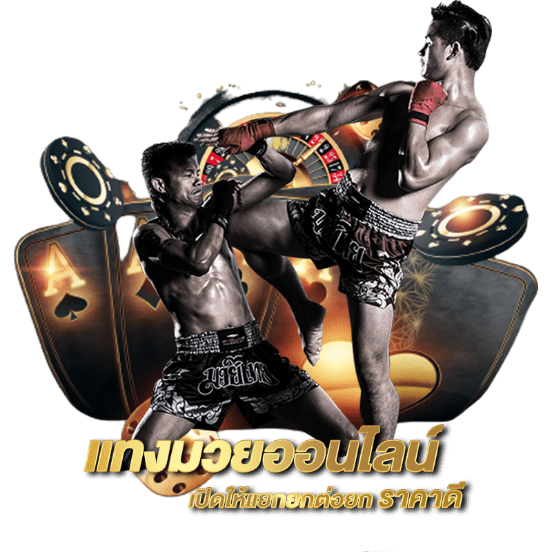 เว็บ Tiger789